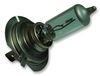 OSRAM 499CBT