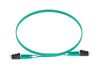 PANDUIT FX2ERLNLNSNM004